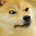 :angrydoge: