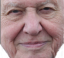:attenborough: