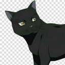 :black_cat1: