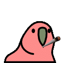 :blunt_parrot: