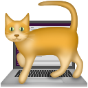 :cat-on-keyboard: