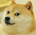 :doge:
