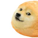 :doge_1: