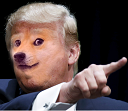 :dogetrump: