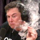 :elon: