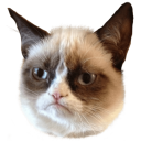 :grumpycat: