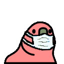 :mask-parrot: