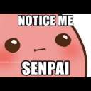 :noticemesenpai: