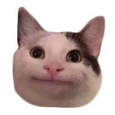 :politecat: