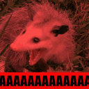 :possum-aaaaa: