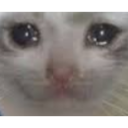 :sadcat:
