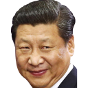 :xi: